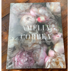 amelia-correa